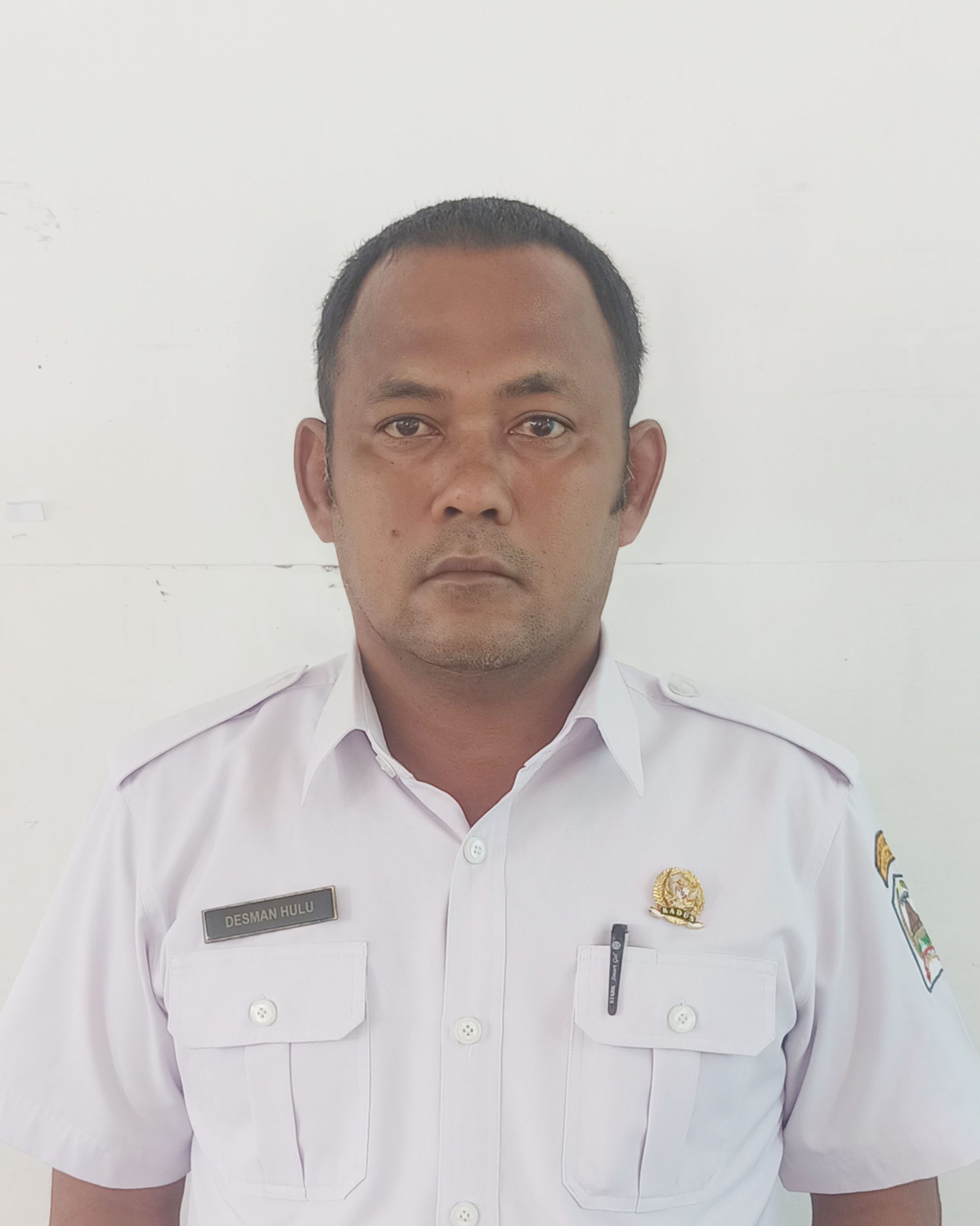 DESMAN HULU